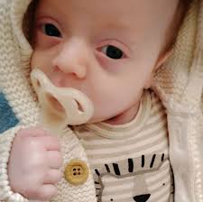 This is a Melissa and Doug vintage wooden push along duck toy designed to  encourage toddlers to walk and develop their motor skills. When the toy is  pushed the duck's wings flap.