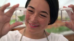 Internships At Corteva