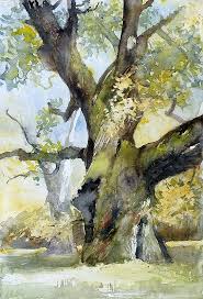 Http Digart Img Digart Pl Data Img Vol5 60 8 Download 6285145 Jpg Arbres En Aquarelle Peinture Arbre Peinture D Arbre