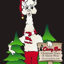 Check spelling or type a new query. Cherry Run Farm Christmas Trees And Alpacas Home Facebook