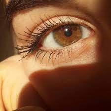 s a l l y y c i n n a a m o n brown eyes aesthetic brown eyes blonde hair brown eyes tumblr