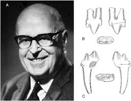 Finding the world's oldest mammals: sieving, dialectical materialism, and  squabbles