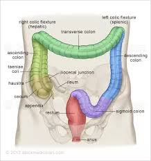 As the patient is unable to expel the stool, it within the cite this article tool, pick a style to see how all available information looks when formatted. Can Oatmeal Cause Constipation Why Or Why Not Quora