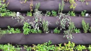 Vertical gardening allows you to grow a vast array of plants in small spaces while still enjoying solid yields and many tasty fruits. How To Build A Vertical Vegetable Garden Dengarden
