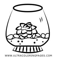 Amazon has its own dedicated coupon page, which is a great resource if you're looking for an amazon promo code. Succulent Coloring Pages Ultra Coloring Pages