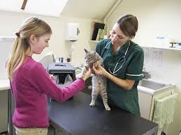 We did not find results for: Cost Of Using Mobile Vet Services Homeridge Veterinary