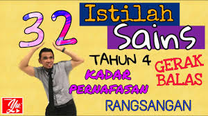 Penyingkiran bahan buangan daripada badan kuantiti jirim dalam sesuatu objek jarak antara dua titik bilangan pergerakan dada naik dan turun dalam satu minit sisa. Istilah Sains Tahun 4 Kadar Pernafasan Rangsangan Gerak Balas Youtube