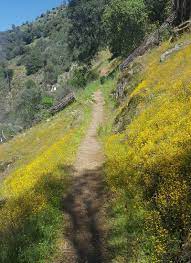 6 Great Hiking Trails To Get You Back Into The Spring Of Things American Forests