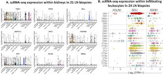 Quantitative Planar Array Screen Of 1000 Proteins Uncovers Novel Urinary Protein Biomarkers Of Lupus Nephritis Annals Of The Rheumatic Diseases 1/ effectuer les divisions suivantes protein biomarkers of lupus nephritis