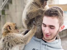 The tragic words from Timothy Mason's inquest which show how the NHS could  have prevented his death