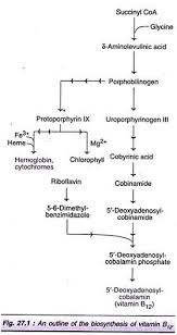 Microbial Production Of Vitamins An Overview