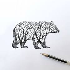 Ours Alfred Basha Disegno Ad Inchiostro Tatuaggio Orso Disegni Di Uccelli