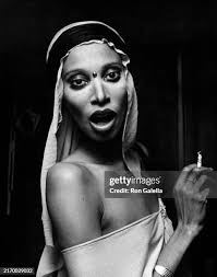 133 Sgt Pepper Live Stock Photos, High-Res Pictures, and Images