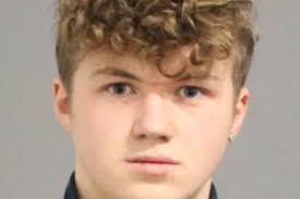 Face of teen who sexually groomed underage girls