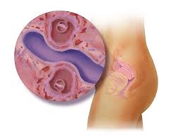 Many women will have started to show a little baby bump by this stage. Twins Fetal Development 3 Weeks Pregnant Babycentre Uk