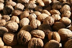 Ces nutriments impossibles à digérer par l'organisme nous aident à nettoyer et à protéger notre système digestif. Fruit A Coque Wikipedia