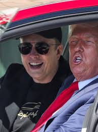 Grocery prices are soaring...: Elizabeth Warren slams Trump's Tesla  promotion