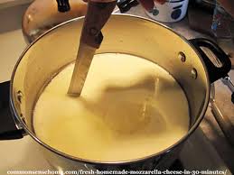 Fresh mozzarella is one of the few cheeses that you can make at home pretty easily. Fresh Homemade Mozzarella Cheese Recipe Make Mozzarella Balls