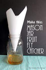 Mason Jar Fruit Fly Trap Fruit Flies Fruit Fly Trap Diy Fly Trap