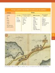 Check spelling or type a new query. Las Actividades Economicas Agricultura Mineria Ganaderia Y Comercio Ayuda Para Tu Tarea De Historia Sep Primaria Cuarto Respuestas Y Explicaciones
