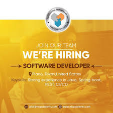 Hiring A Software Developer In 2020 Business Analyst Software Development Job