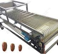 Date Fruit Sorting Machine For Cherry,Olive,Cashew,Walnut