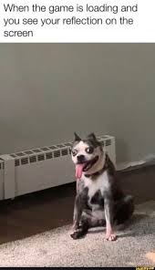 When The Game Is Loading And You See Your Reflection On The Screen Ifunny Funny Memes Memes Amusing