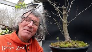 Trident Maple Root Over Rock