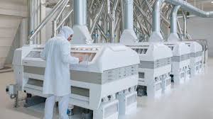 Justnashy erome carli - unforgettable presence