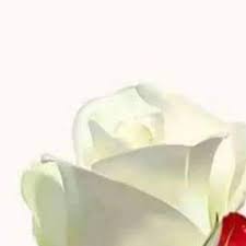 You Raise Me Up So I Can Stand On Mountains Original You Raise Me Up So I Can Stand On Mountains You Raise Me Up To Walk On Stormy Seas I Am Strong When I Am On Your Shoulde Stormy Sea You