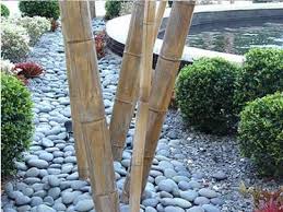 We did not find results for: Mexican Beach Pebbles Acme Sand Gravel