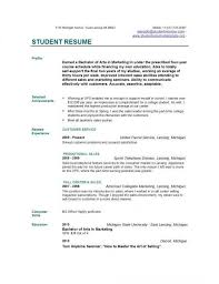 college resume template