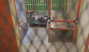 The maricopa county sheriff's office suggests that if you have questions, you may call sheriff's information management services (sims). New 8 5m Facility Planned For Mcso Animal Care Unit Kjzz