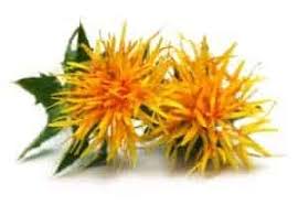 This nutrient can improve circulation to the scalp, stimulate hair growth and actually strengthen hair follicles resulting in. How To Use Safflower Oil For Hair Growth Scalp Care And Skin Care