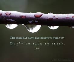 People ask me if my shoes were too small when list of top 5 famous quotes and sayings about rumi happy birthday to read and share with friends on. Rumi Quotes To Help You Enjoy Life Rumi Quotes Rumi Birthday Wishes Quotes