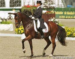 Anky van grunsven begon met rijden op zesjarige leeftijd. Anky Van Grunsven Makes Dream Come True 1999 European Champion