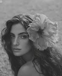 Renew Artists Hawaii