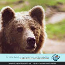 Grizzly ble utnevnt til california's state animal i 1953, som det viser seg, i noe av et klage og et minnesmerke. Did You Know The Grizzly Bear Is California S State Animal And It Appears On The California State Flag And The State Seal