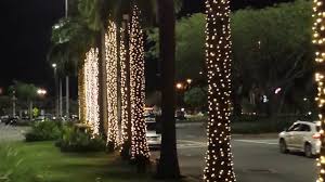 Get a ladder for taller trees, once you have coiled the strands around the base of the trunk. Palm Trees Light Chasing Youtube