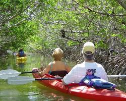 Kayaking in Kelly Bay mangrove的圖片
