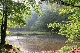 The park is located on pennsylvania route 144, 26 miles (42 km) north of renovo and 18 miles (29 km) south of galeton. Kettle Creek In The Morning Picture Of Ole Bull State Park Cross Fork Tripadvisor