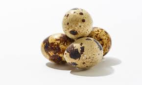 Fertilized eggs also look just like unfertilized eggs on the inside.except for a white bulls eye on the yolk of a fertile egg. Quail Duck Steeped In Tea Fertilized Or A Century Old How Do You Like Your Eggs