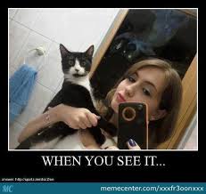 When You See It Animal Memes Funny Animal Memes When You See It