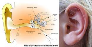 How To Quickly Naturally Get Rid Of Clogged Ears Clogged Ears Ear Infection Home Remedies Chest Congestion Remedies