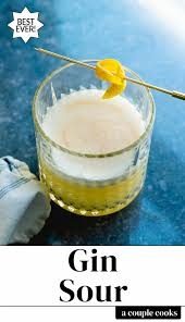 Classic Gin Sour A Couple Cooks Recipe In 2020 Gin Sour Sour Cocktail Couple Cooking
