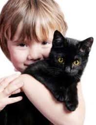 A Black Cat Crossing Your Path