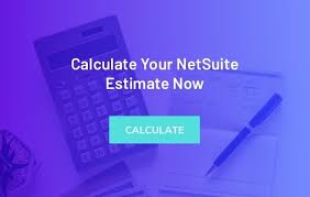 And it is a very large but. The Ultimate Netsuite Licensing Guide For 2021
