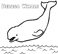 Coloring has ended up being incredibly popular over the past couple of years, as well as coloring books currently are very accessible. Pin By Pengadaan Indonesia On Beluga Whale Coloring Pages Whale Coloring Pages Beluga Whale Coloring Pages