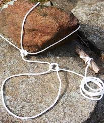 Instead of a noose, you will be using your baited line to catch fish. A Guide To The 15 Best Survival Traps Of All Time