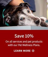 An owner is given a vet bill of more than $1,000. Emergency Animal Hospital Emergency Vet Clinic Emergency Pet Hospital
